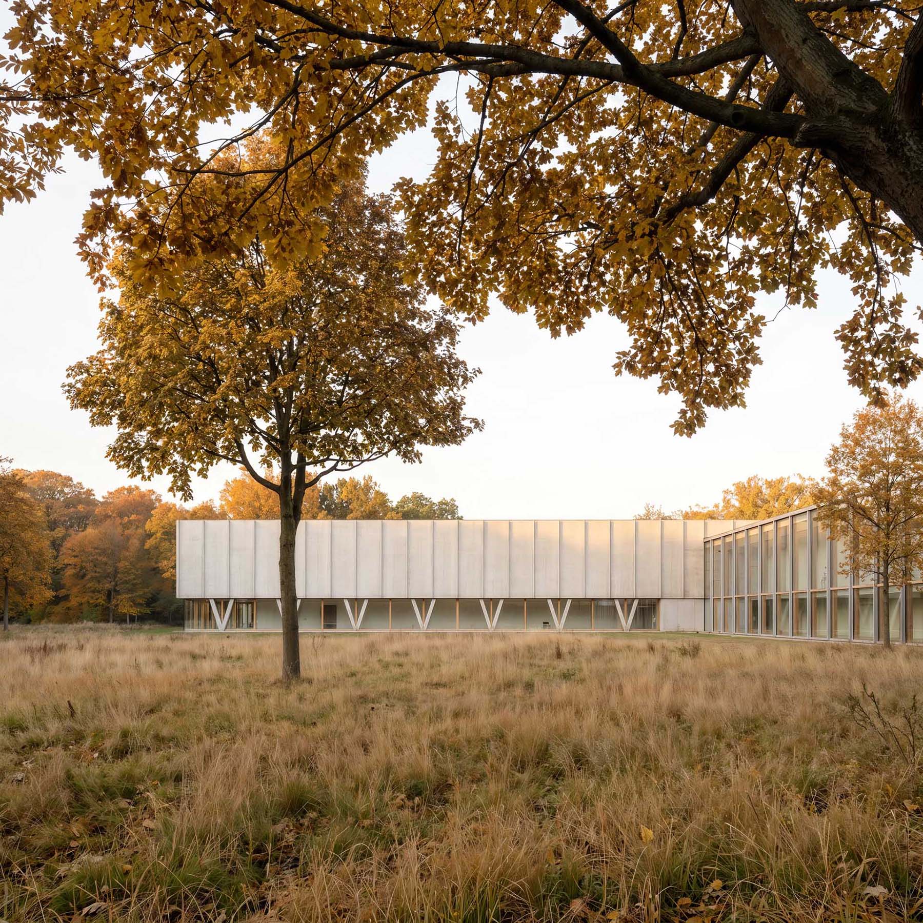 STUDIO CAPITANIO ARCHITETTI - SCHOOL ROMANO 